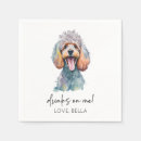 Recherche de poodle Caniche