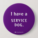 Recherche de chien pourpre accessoires Violet
