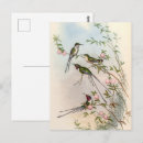 Suche nach gould postkarten Natur
