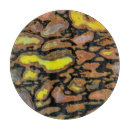 Recherche de fossile planches à découper Bleu