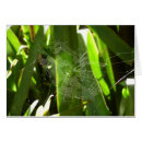 Suche nach spinnennetz karten Arachnid