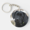 Suche nach schwarzer labrador schlüsselanhänger Welpe