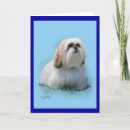 Recherche de apso vœux cartes Lhasa