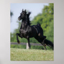 Recherche de trotteur posters Noir