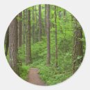 Recherche de rivière autocollants Vert