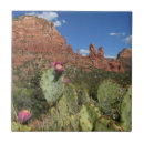 Suche nach sedona arizona fliesen Landschaft