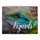 Suche nach mein gecko kalender Leguan