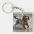 Suche nach cocker spaniel schlüsselanhänger Braun