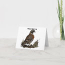 Suche nach freier vogel karten Im freien
