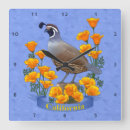 Recherche de californie horloges Pavot