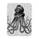 Recherche de plongée magnets Poulpe