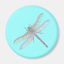 Suche nach dragonfly magnete Insekten