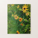Recherche de lueur photographie Fleurs