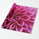 Suche nach make up geschenkpapier Rosa