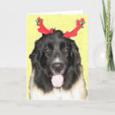 Recherche de newfies vœux cartes Nouveau