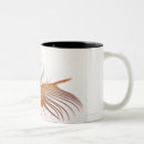 Recherche de coquilles tasses Animal