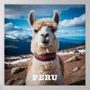 Suche nach peru poster Lama