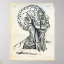 Recherche de human head Medical