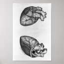Recherche de cardiologie posters Vintage