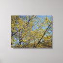 Suche nach kirschbaum leinwandbilder Natur