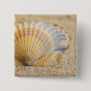 Suche nach seashell buttons Ozean