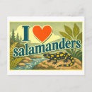 Recherche de salamandres cartes postales Dessin