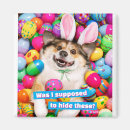 Suche nach süße tiere magnete Ostern