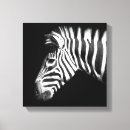 Recherche de rayures de zèbre art Moderne