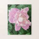 Recherche de pivoine rose puzzles Fleurs