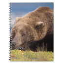 Suche nach grizzlybär kleine notizbücher Portrait