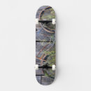 Recherche de vélos skateboards Bicyclette