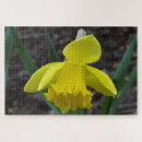 Suche nach gelbe narzisse puzzle Narzissen