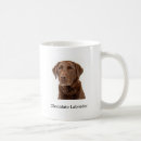 Recherche de race classiques tasses Races de chien