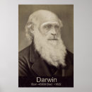 Suche nach sich entwickeln poster Darwin
