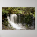 Suche nach national park poster Baum