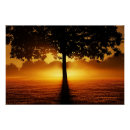 Suche nach baum silhouetten poster Natur