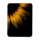 Suche nach sonnenblumen magnete Fotografie