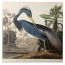 Suche nach audubon fliesen Vogel