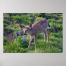 Suche nach schwarzer hirsch poster Wald
