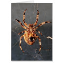 Recherche de veuve noire cartes postales Rouge