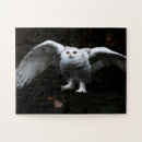 Recherche de ailes puzzles Blanc