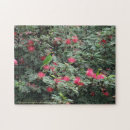 Suche nach rosa blumen puzzle Fotografie