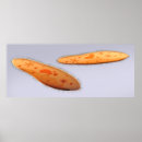 Suche nach protozoen poster Mikrobe