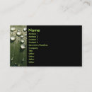 Recherche de macro cartes visite Vert