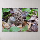 Suche nach einzig kunst Grau