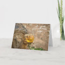 Recherche de tortue drôle vœux cartes Vieux