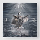 Suche nach kanada alle wanduhren Tierwelt