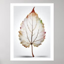 Suche nach veins poster Natur