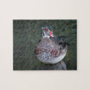Suche nach ente puzzle Vogelrätsel