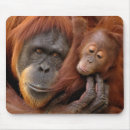 Recherche de orang outan tapis souris Singe